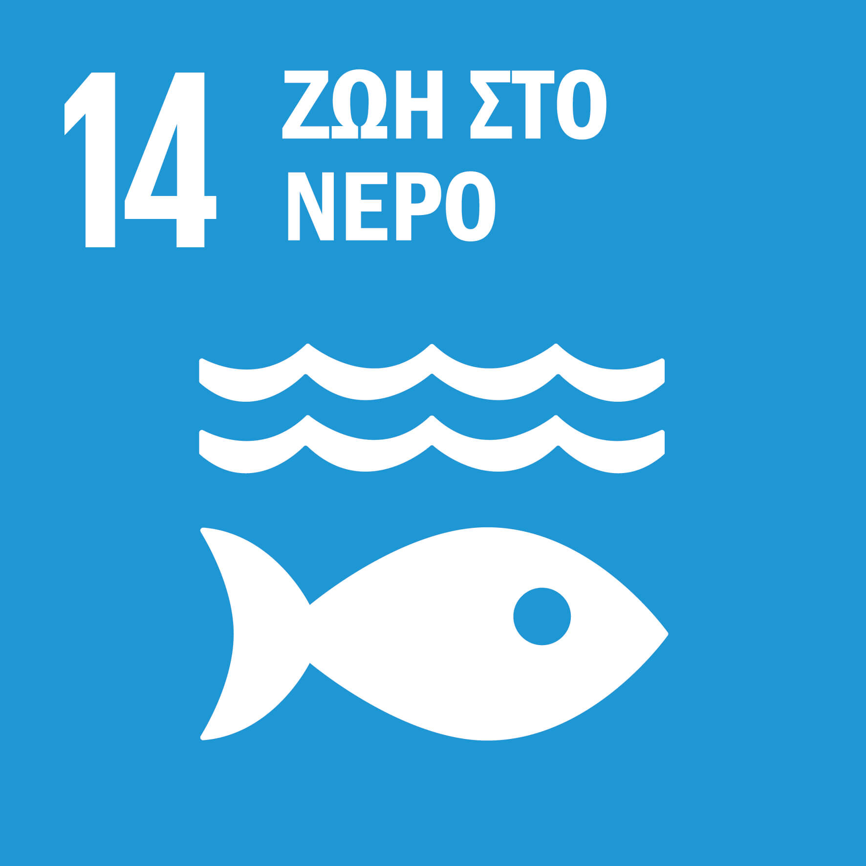 14 Ζωή στο Νερό