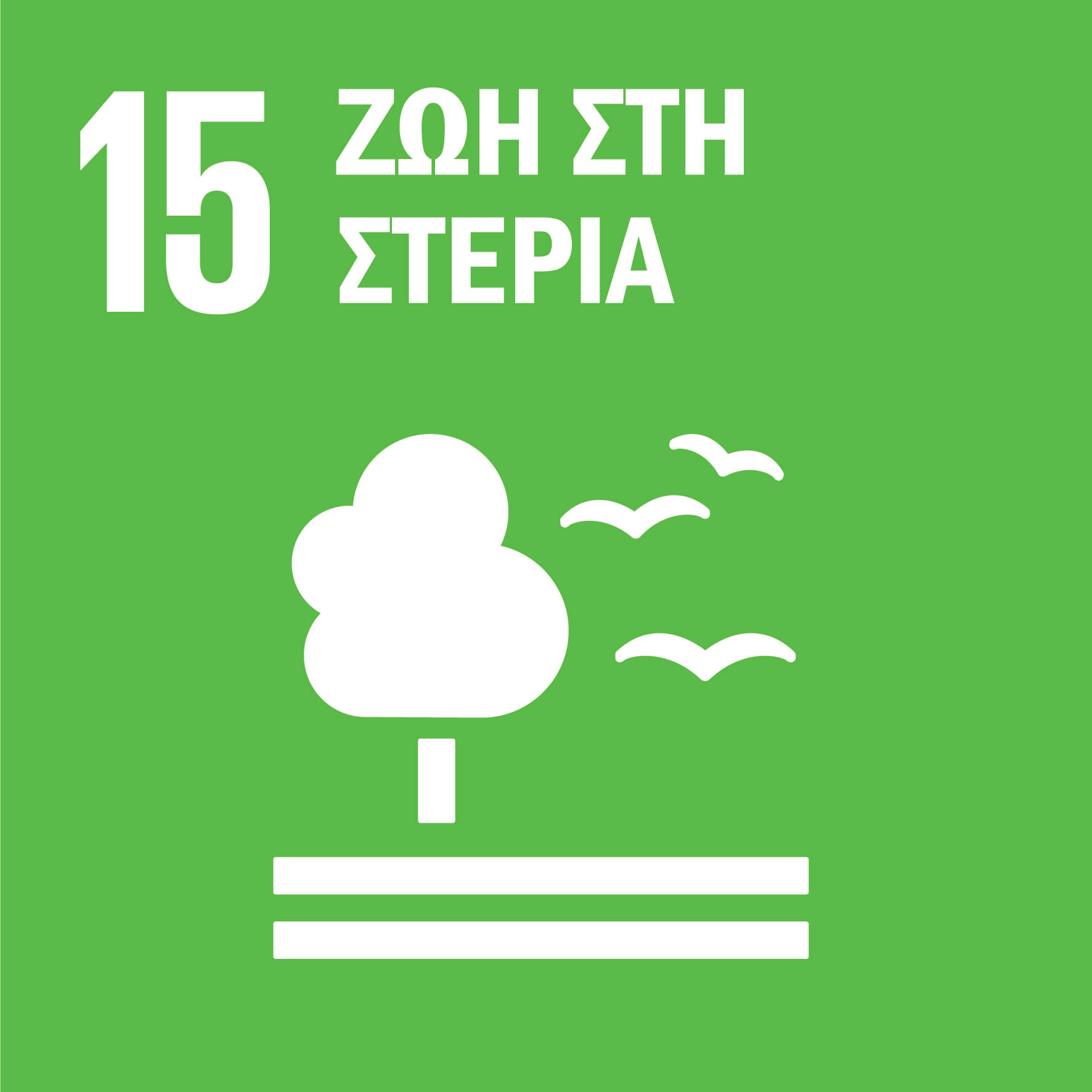 15 Ζωή στη Στεριά